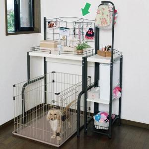 ブリッジラックの商品写真