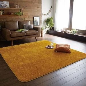 裸足で気持ちいい!さらっとした芝生のようなラグ 家に居ながら、アウトドア気分♪ 汚れたら洗濯機で丸洗いOKの商品写真