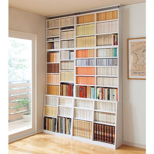 1cm単位で棚板の高さを変える頑丈壁面つっぱり本棚の商品写真