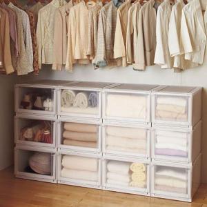 フィッツユニット衣装ケース(クローゼット用2個組)■サイズ：D(幅40/奥行55/高さ20)の商品写真